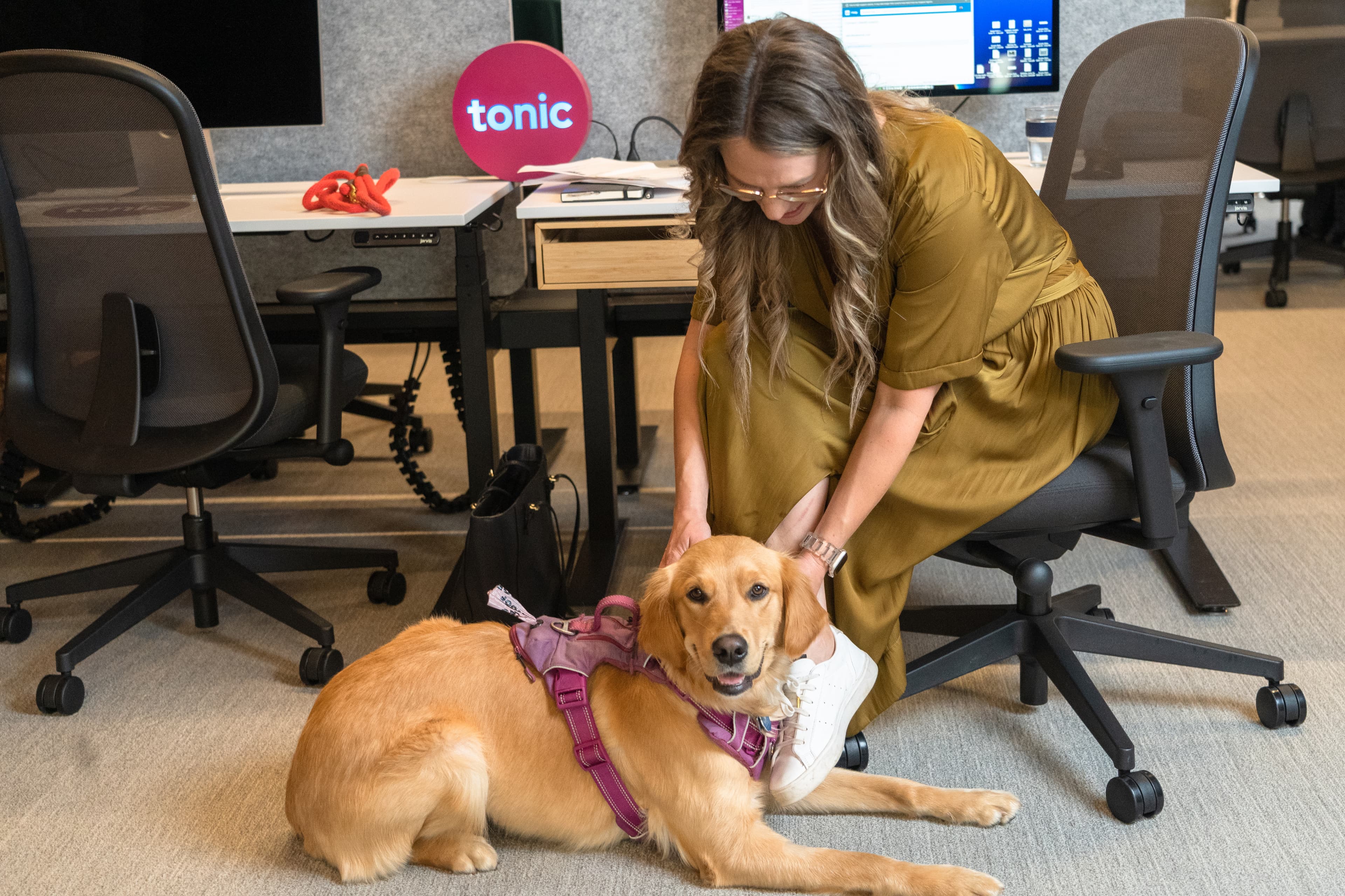 Employee petting dog in the office